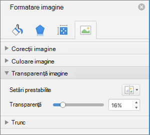 Ajustarea transparenței culorilor în panoul Formatare imagine