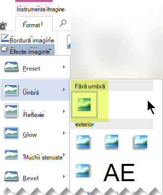 Dezactivați un efect de imagine nedorit, alegând opțiunea Fără efect.