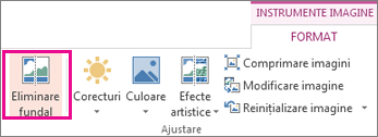 Butonul Eliminare fundal din grupul Ajustare, pe fila Instrumente imagine - Formatare