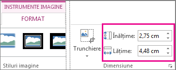 Casetele Înălțime și Lățime din fila Instrumente imagine - Format