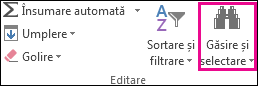 Găsirea & selectarea în grupul Editare de pe fila Pornire