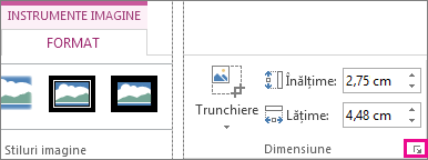 Lansatorul de casetă de dialog din grupul Dimensiune din fila Instrumente imagine - Format