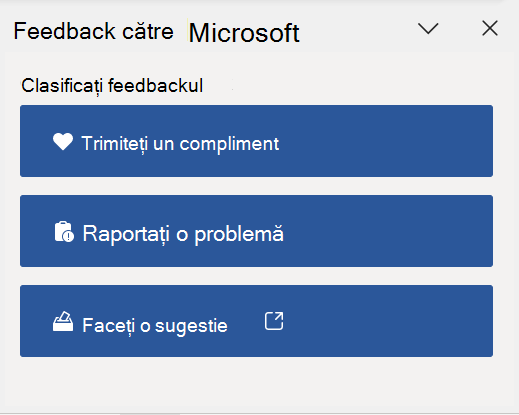 Panoul Feedback din Word