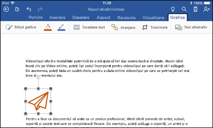 Word pentru iOS afișând fila Editare grafică
