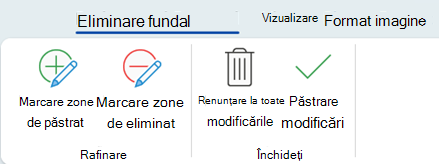 Opțiunile de eliminare a fundalului vă permit să marcați anumite zone ale unei imagini pentru a le păstra sau a le elimina.
