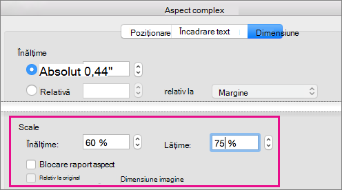 On the Size tab in the Advanced Layout box, the Scale options are highlighted.