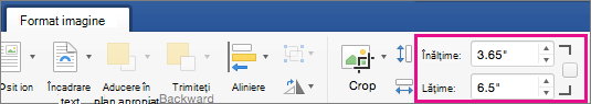Fila Format imagine cu casetele Înălțime și Lățime evidențiate.