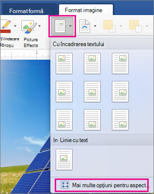Pe fila Format imagine, sunt evidențiate Poziție și Mai multe opțiuni de aspect.