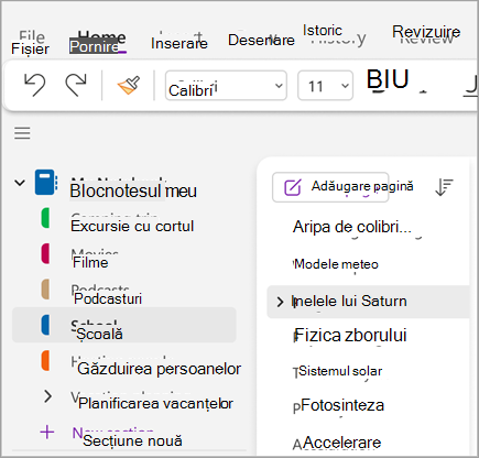 Captură de ecran activități de bază eight.png