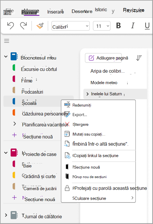 Captură de ecran activități de bază nine.png
