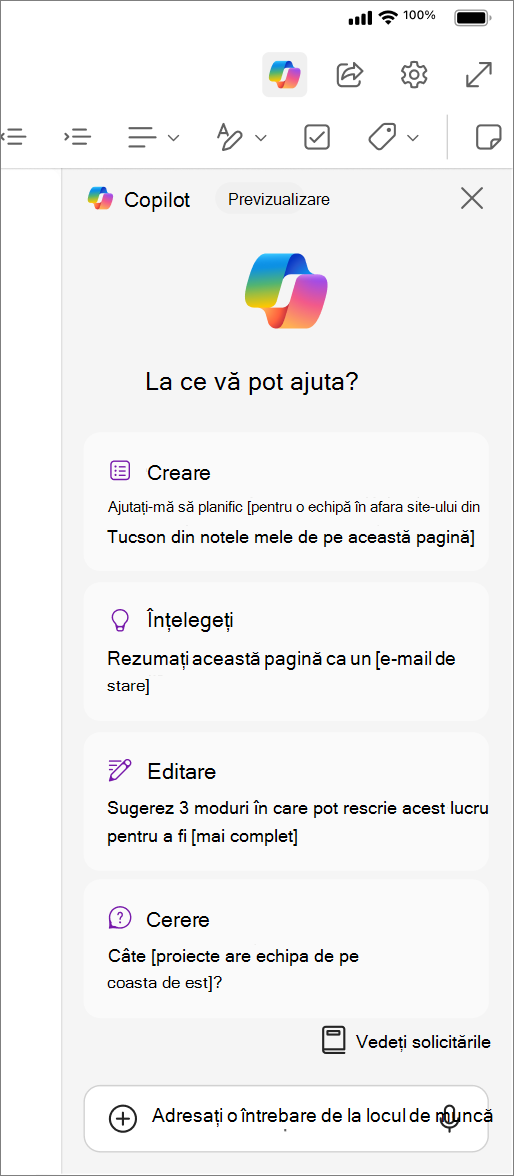 Accesarea butonului Copilot în OneNote pentru iOS