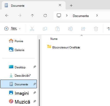 Folderul Documente afișând subfolderul Blocnotes OneNote.