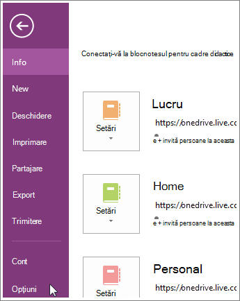 Opțiuni OneNote