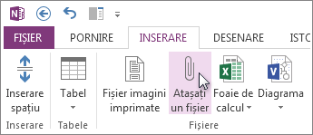 Inserați un fișier în notele dvs. ca atașare