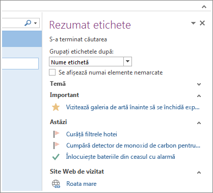 Puteți să vedeți activitățile dintr-o privire, în Rezumat etichete.