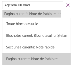 Afișează lista verticală de căutare cu opțiuni pentru domeniu, pagina curentă este activă.