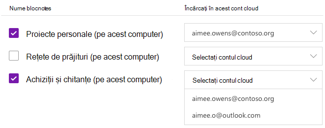 Blocnotesuri selectate pentru a fi încărcate într-un cont din cloud
