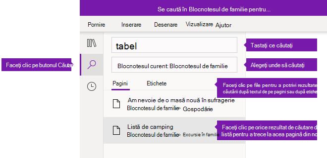 Opțiuni panoul Căutare în OneNote pentru Windows 10