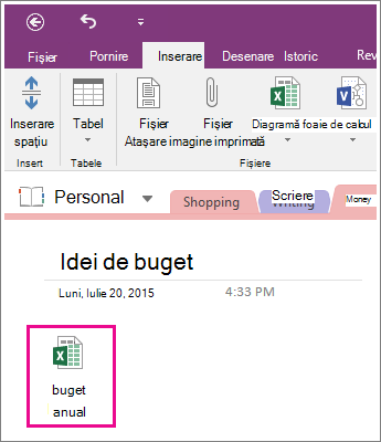 Captură de ecran a unei foi de calcul atașate în OneNote 2016.