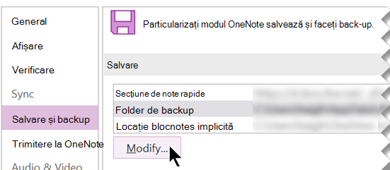 Captură de ecran a casetei de dialog Opțiuni OneNote pentru copierea de rezervă a unui folder