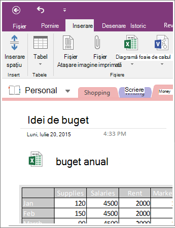 Captură de ecran a unei foi de calcul încorporate în OneNote 2016.