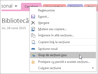 Captură de ecran cu crearea unui nou grup de secțiuni în OneNote 2016.