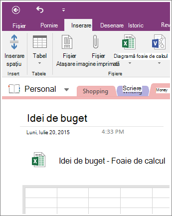 Captură de ecran a unei foi de calcul noi din OneNote 2016.