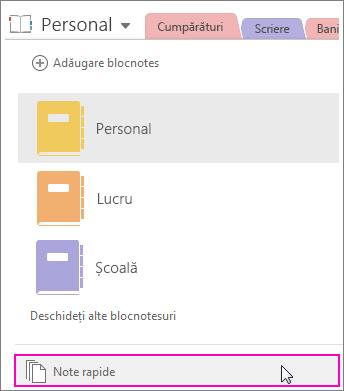 Captură ecran cu panoul Blocnotesuri OneNote 2016, cu Note rapide evidențiate