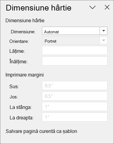 Panoul Dimensiune hârtie