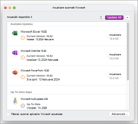 Actualizare automată Microsoft Actualizare totală