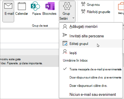 Pe panglică, selectați Setări > de grup Editare grup