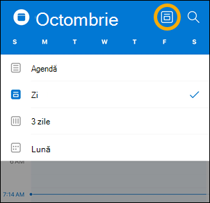 Opțiunile butonului de vizualizare Calendar iOS