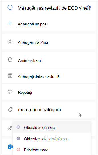 Când se afișează detaliile activității, selectați Alegeți o categorie pentru a atribui o categorie pe care ați creat-o deja în Outlook.