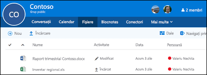 Faceți clic pe Files în grupul dvs. Office 365 pentru a vedea lista de fișiere și foldere stocate în grup