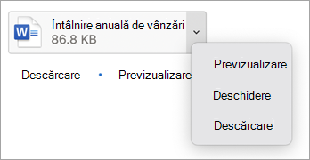 Din meniul vertical, selectați Previzualizați, Deschideți sau Descărcați