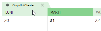 Captură de ecran a unui calendar de grup în vizualizarea calendar