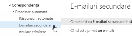 O captură de ecran a cursorului poziționat peste E-mailuri secundare, în meniul Setări.