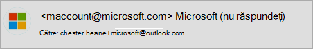 Plus Site