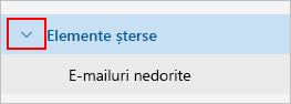 Captură de ecran cu extinderea folderului cu elemente șterse.