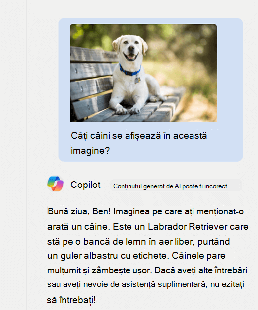O captură de ecran cu Copilot. O imagine cu un câine a fost lipită împreună cu solicitarea Câți câini sunt afișați în această imagine? Copilot a răspuns cu acuratețe și a oferit o descriere suplimentară a imaginii.