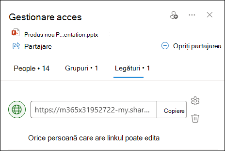 Captură de ecran afișând caseta de dialog Gestionare acces, cu fila Linkuri deschisă.