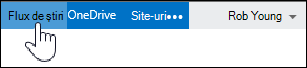 Opțiune Flux de știri