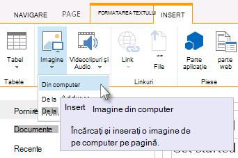 Opțiunea de inserare a unei imagini de pe computer
