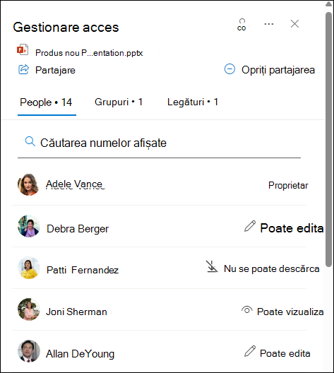 Fișa de opțiuni listează persoanele care partajează documentul