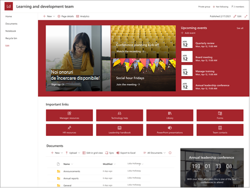 Captură de ecran a previzualizării șablonului de site de echipă Leadership and development