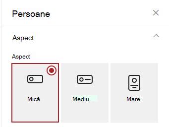 Aspectul fișei People pentru Mici, Medii, Mari