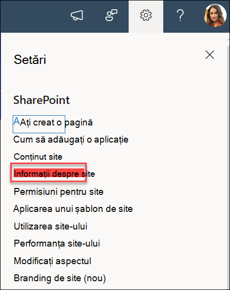 Opțiunea Informații site din caseta de dialog Setări.