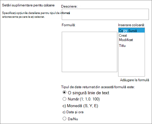 Opțiuni pentru coloana calculată