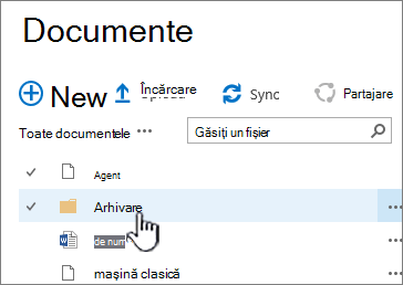 Biblioteca de documente SharePoint 2016 cu folderul evidențiat