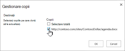 Selectați copiile de destinație de actualizat